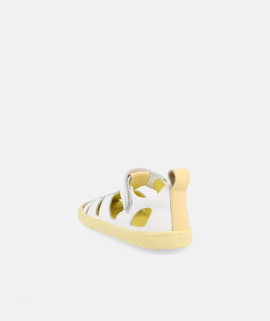 Blanditos SABA AMAR26V 03.webp