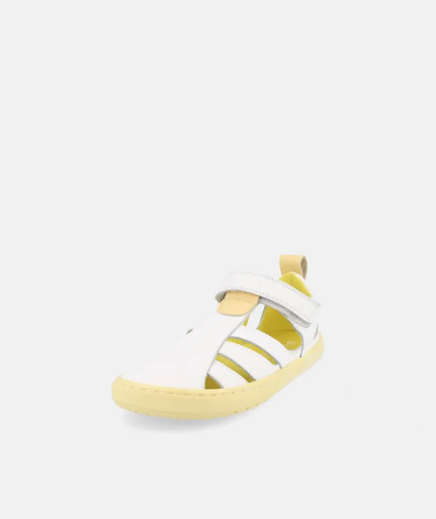 Blanditos SABA AMAR26V 02.webp