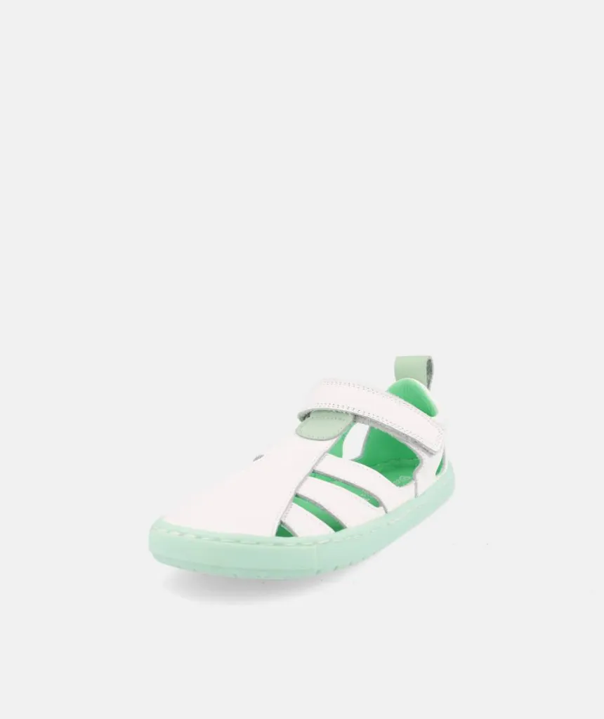 Blanditos SABA VERDE26V 02.webp