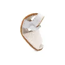Titanitos L560 PLAYITA BLANCO 05.webp