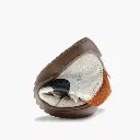 Pablosky 064206 CRACK-TECH BONE 06.webp