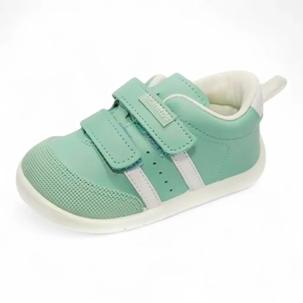 Titanitos B500 Amancio Verdina