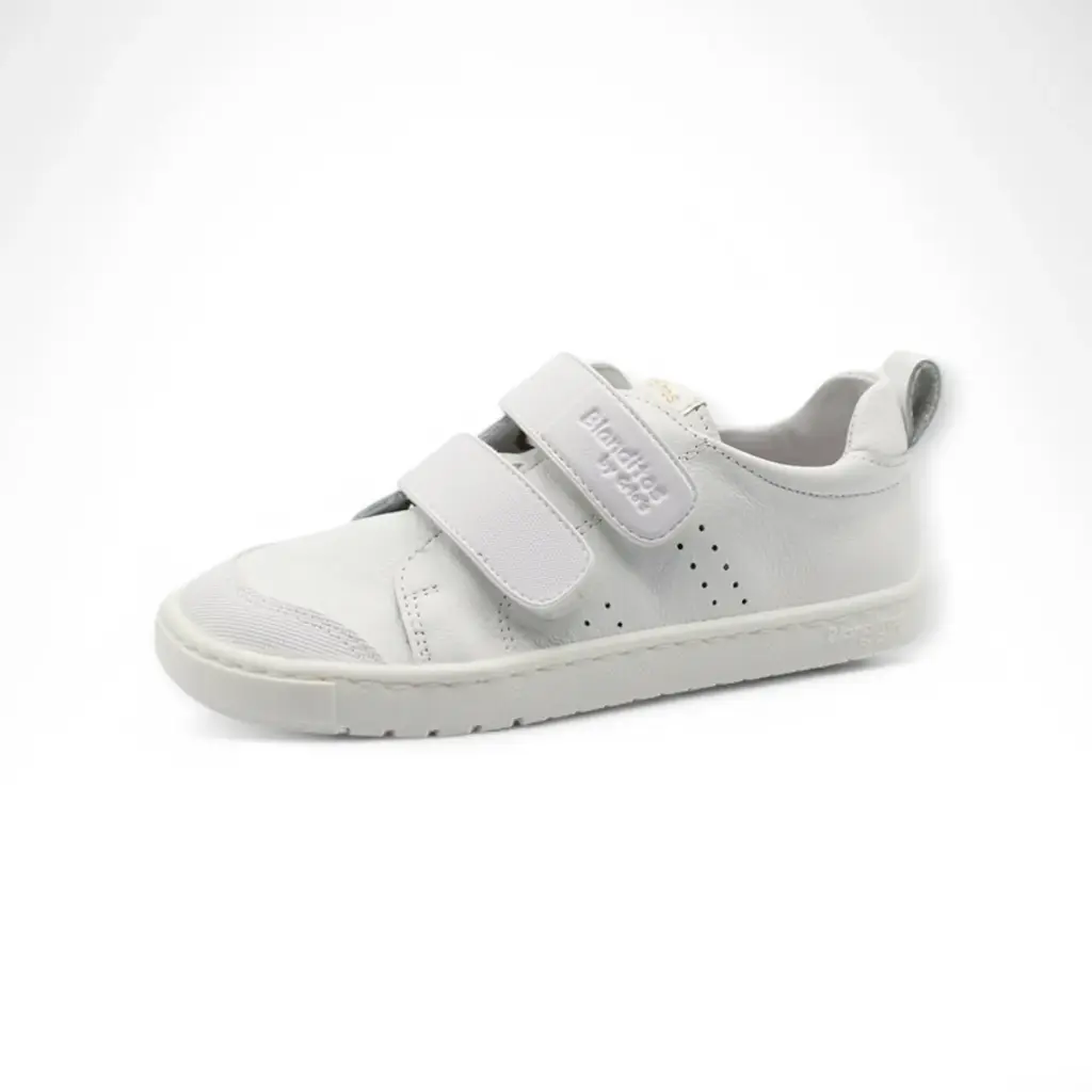 Blanditos Rio Blanco25V