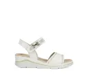 Fluchos F2427 ALFA BUFALINO Blanco